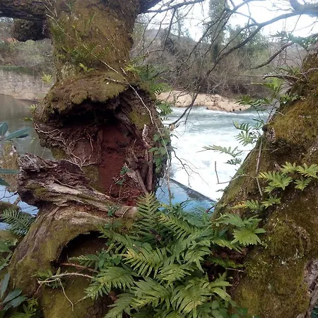 Hotel La Cotia Helguera (Reocin)