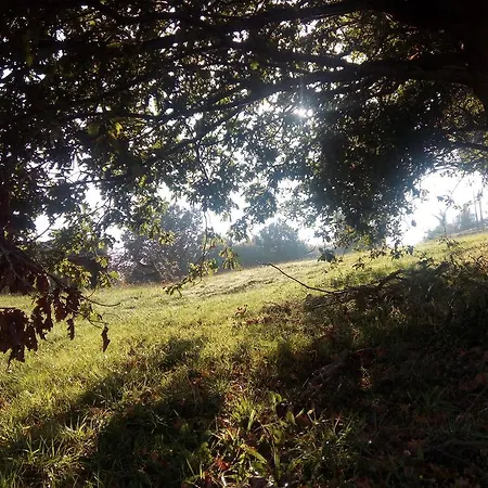 La Cotia Hotel Helguera (Reocin)