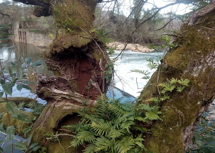 Отель La Cotia Эльгера