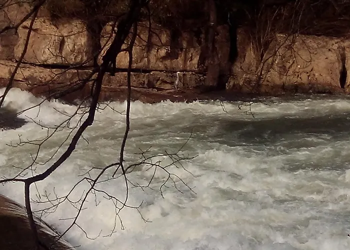 Отель La Cotia Эльгера