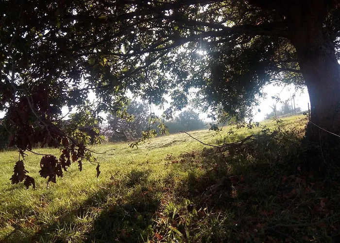 La Cotia Hotel Helguera (Reocin)