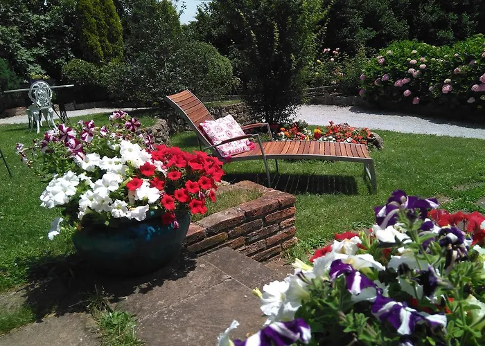 Отель La Cotia 3*