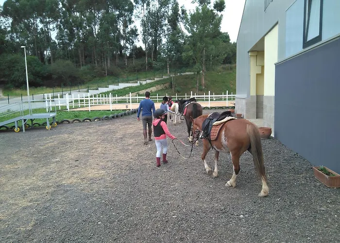 La Cotia Helguera (Reocin)